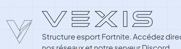 Logo Vexis